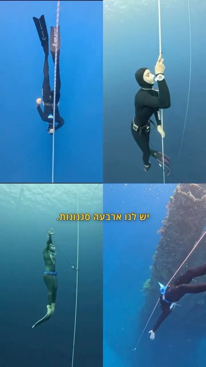Instagram post from nitzan.katz.freedive. This post is in position 2.