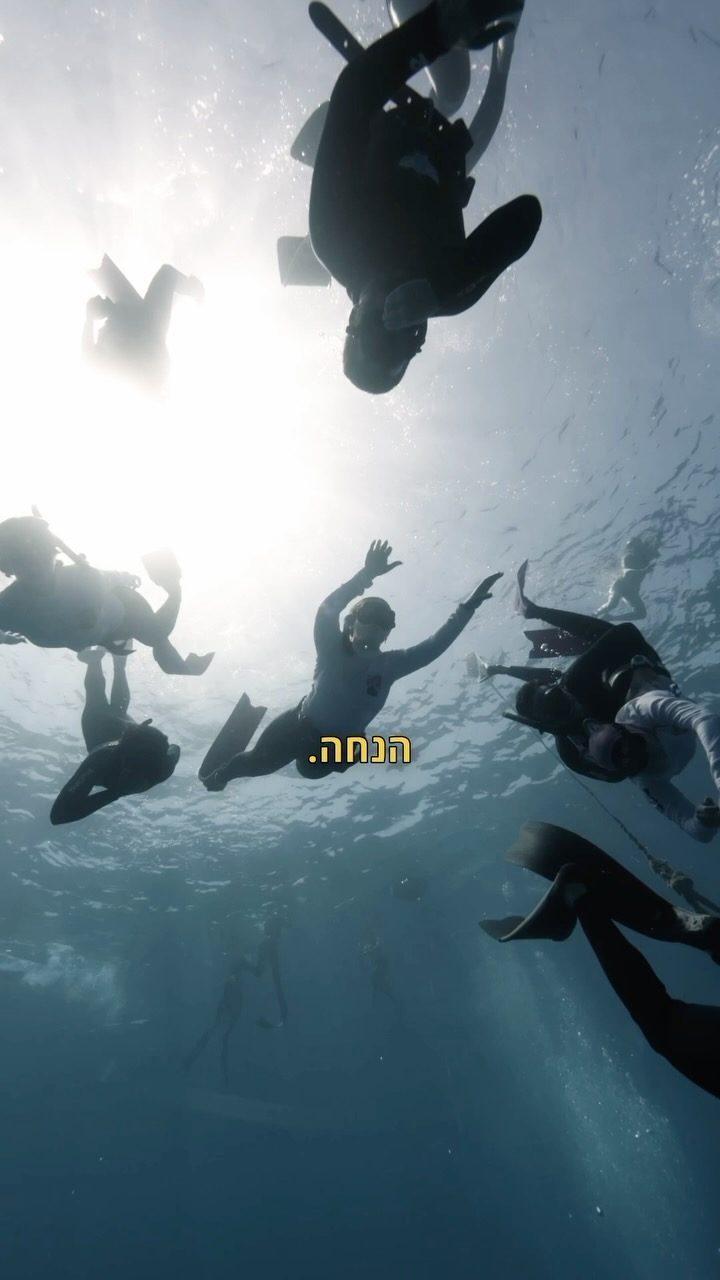 Instagram post from nitzan.katz.freedive. This post is in position 5.