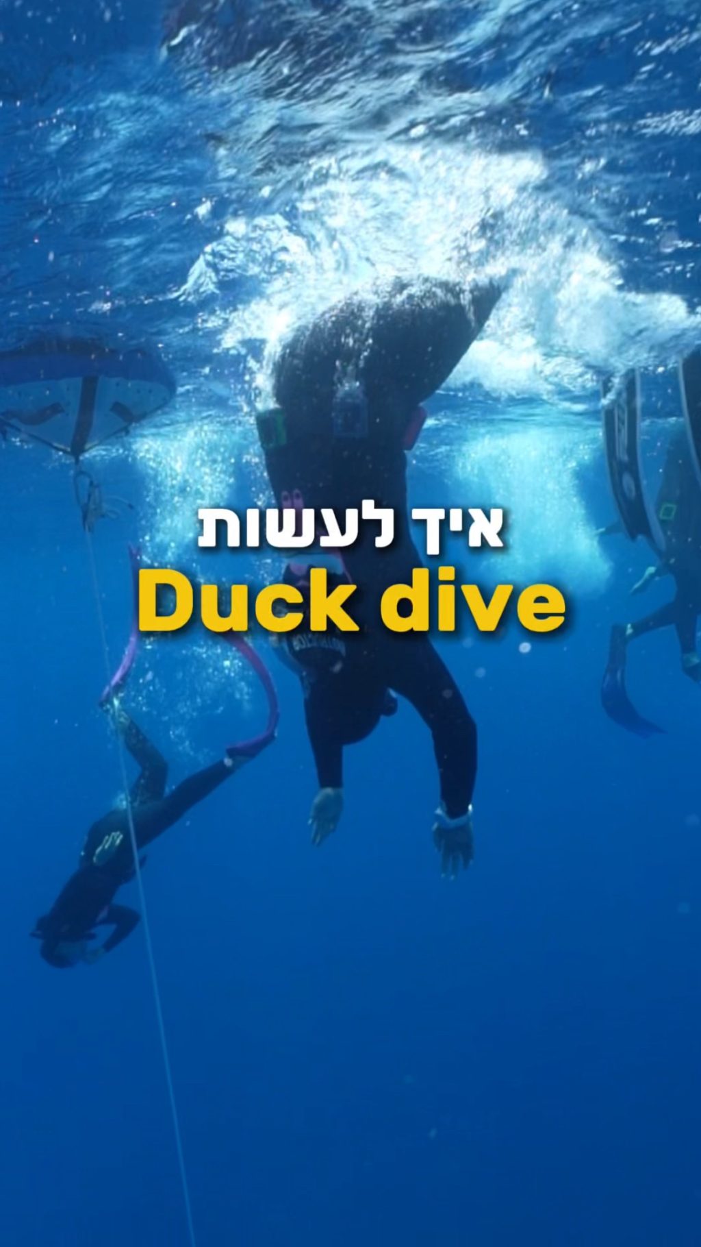 Instagram post from nitzan.katz.freedive. This post is in position 1.