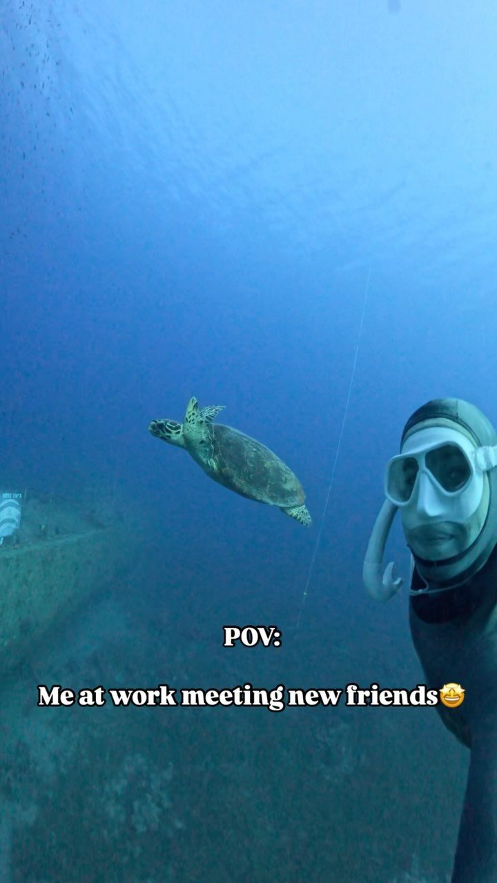 Instagram post from nitzan.katz.freedive. This post is in position 5.