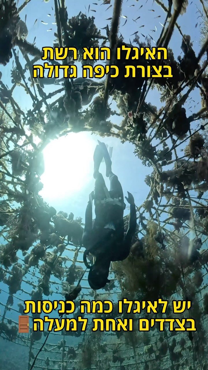 Instagram post from nitzan.katz.freedive. This post is in position 5.