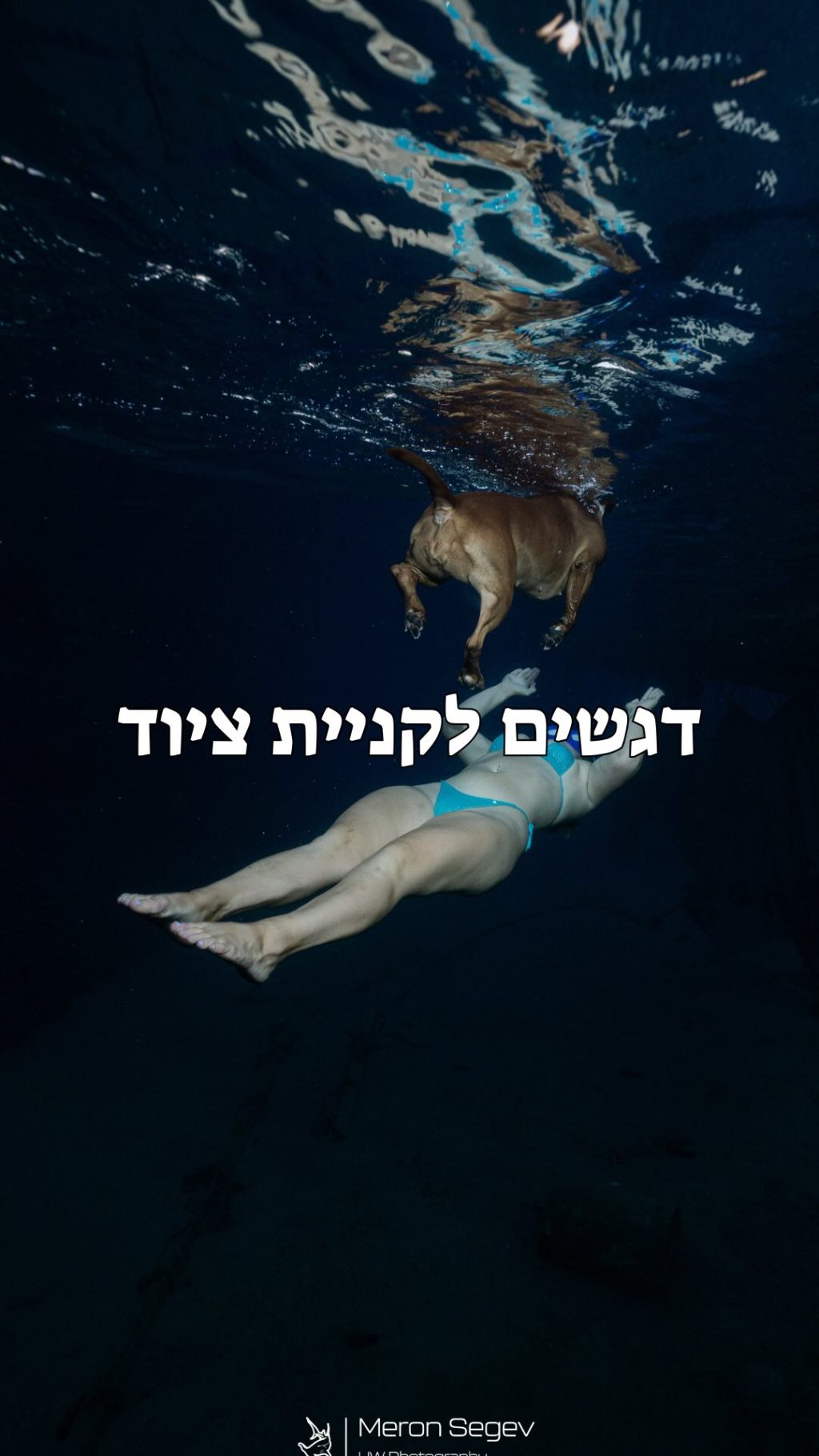 Instagram post from nitzan.katz.freedive. This post is in position 2.