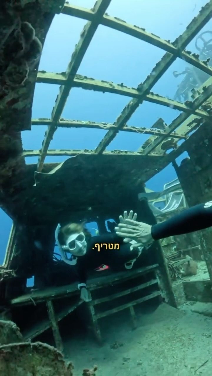 Instagram post from nitzan.katz.freedive. This post is in position 4.