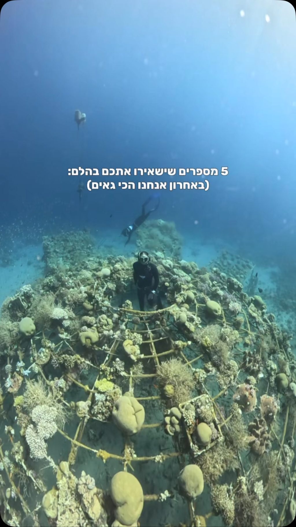 Instagram post from nitzan.katz.freedive. This post is in position 2.