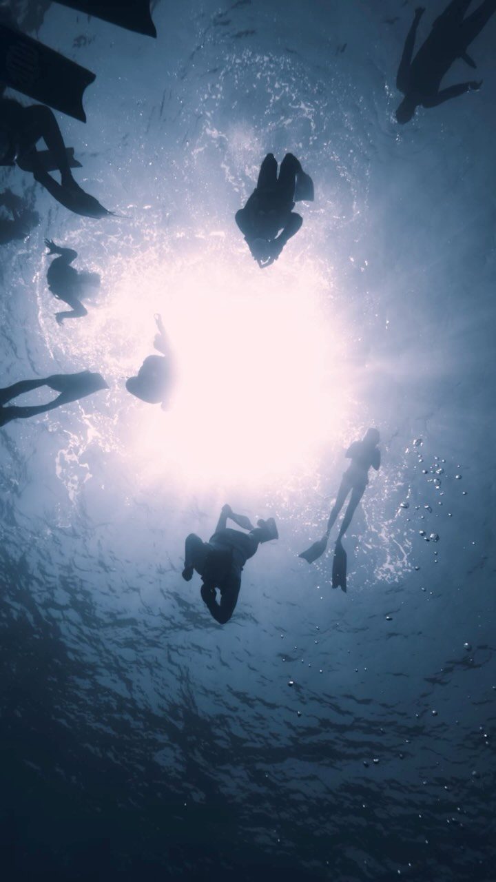 Instagram post from nitzan.katz.freedive. This post is in position 2.